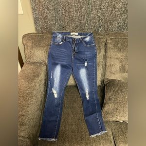 Celebrity Ace Skinny Distressed Jeans